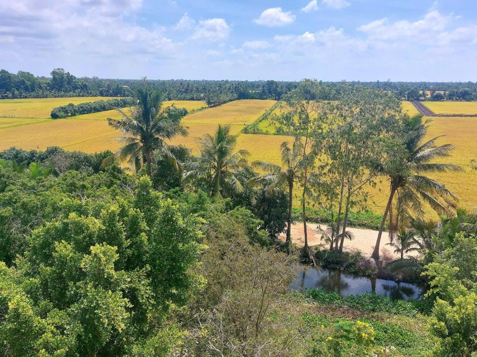 Tran Phu Riverside House Cần Thơ Ngoại thất bức ảnh